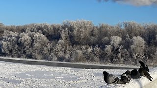 Морозный день на набережной реки Уфы