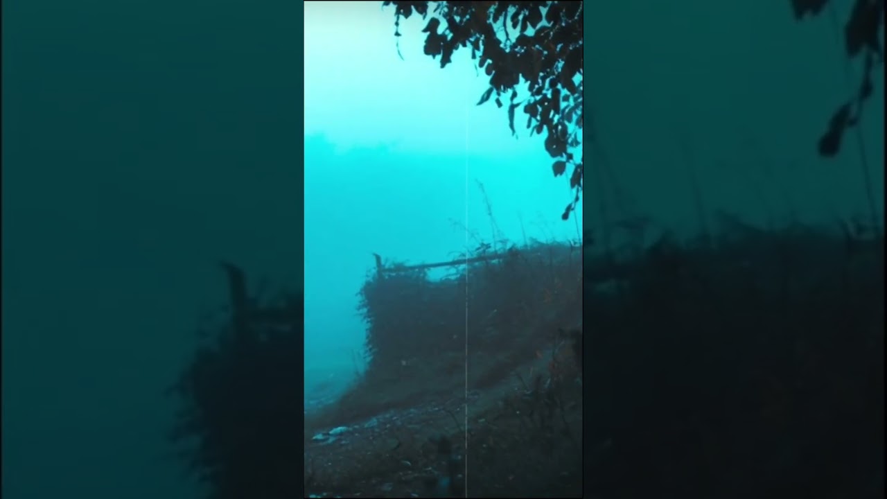 What Archaeologists Discovered in This Haunted Forest… 