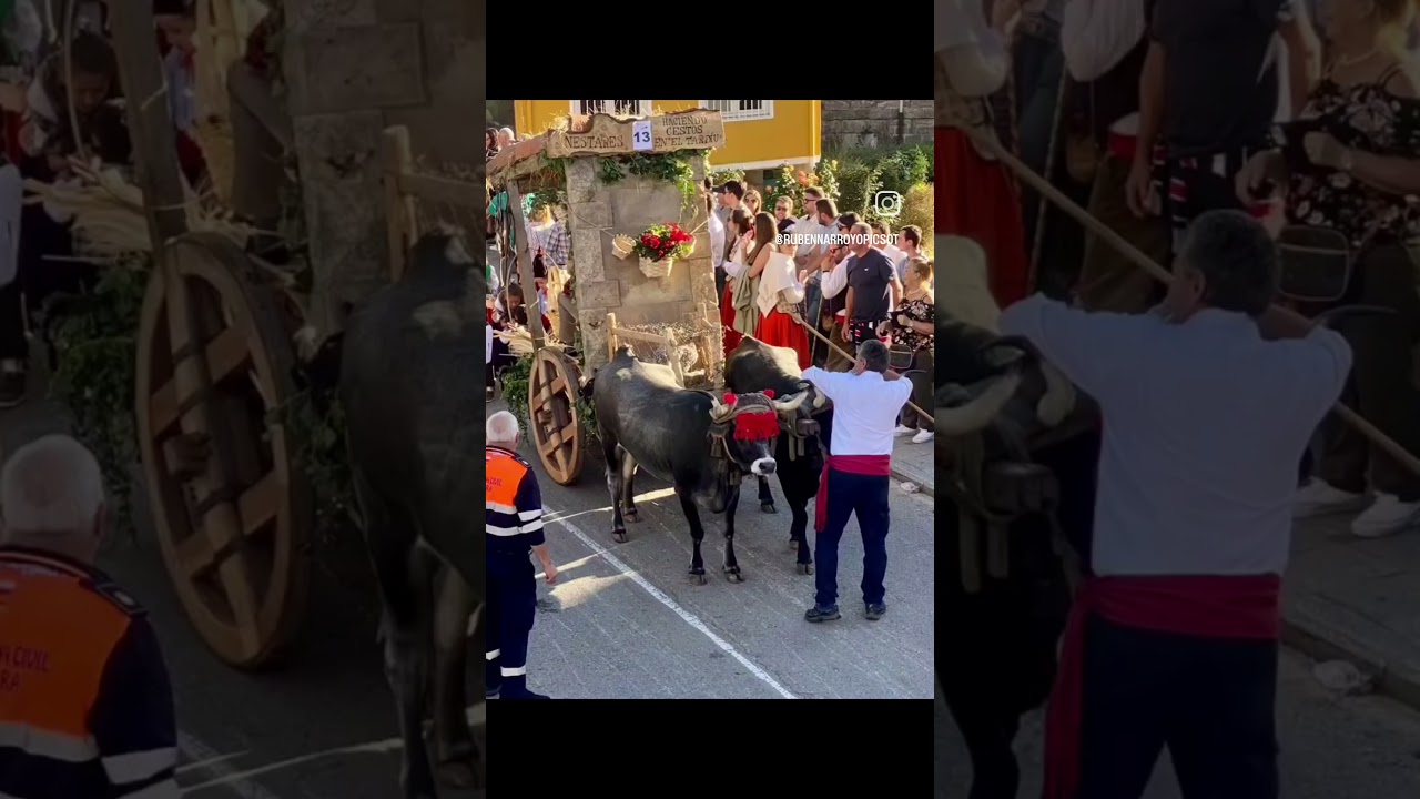 DIA DE CAMPOO #turismo #travel #desfile #reinosa #cantabria #tradiciones #cultura #festejos #arte