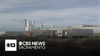 Modesto cheese manufacturer forced to shut down after being linked to listeria outbreak
