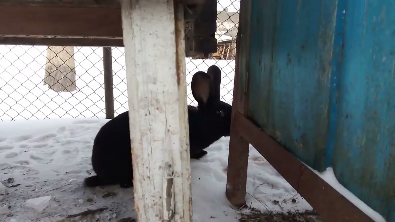 10 лютого 2026 р.