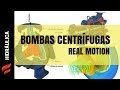 Bombas centrífugas, real motion