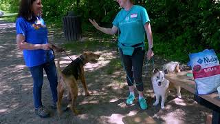 ATCMW Member Meeting & Picnic, Frying Pan Park, VA (May 16, 2026)