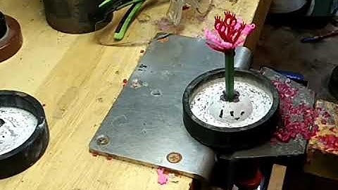 How to build a wax tree.