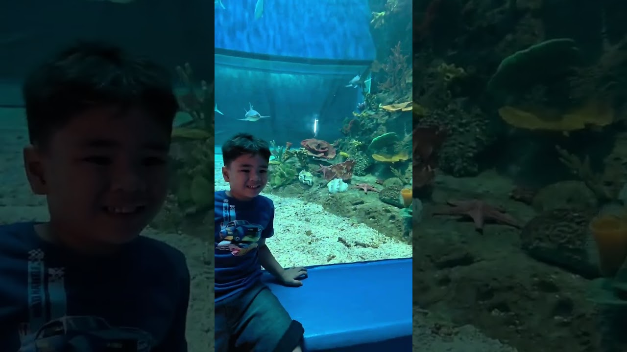 First Manila Ocean Park Experience - Happy Birthday, Lucas! 💖