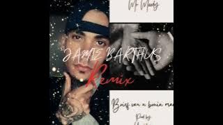 Brief van n bruin man Remix