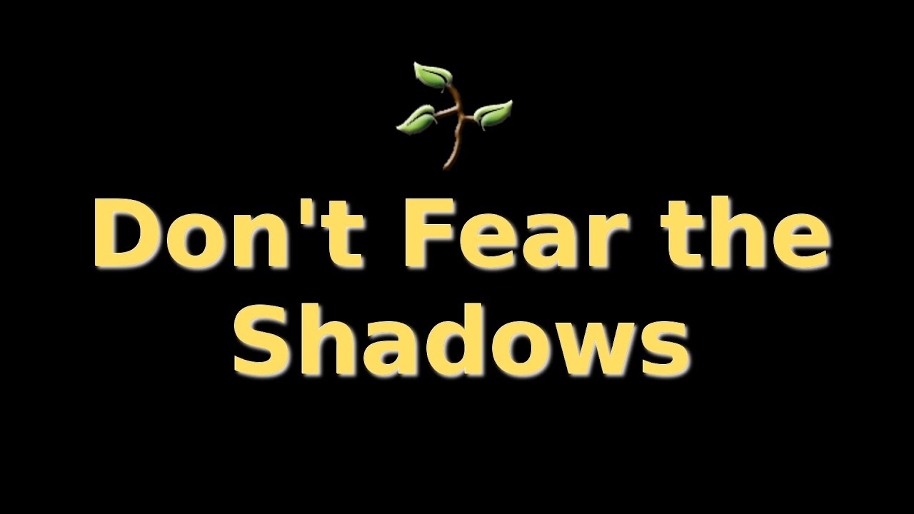 Don't Fear the Shadows