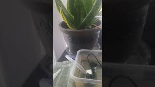 EECS MINOR PROJECT