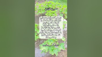 سورة المائدة ٥  #قرآن #قرآن_كريم #قران #قران_كريم #اكسبلور #quran #قرأن