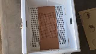 Beekeeping In Arizona