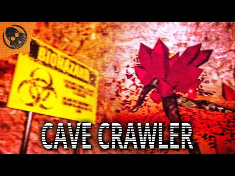 Našel jsem [VYMAZÁNO] - Cave Crawler