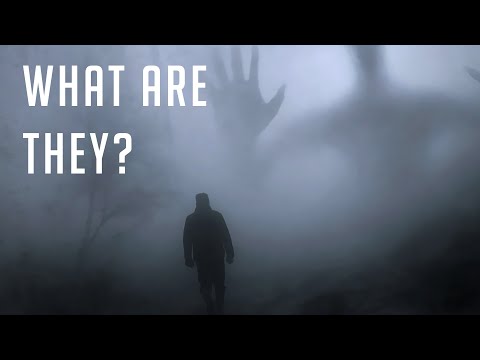 Fairies: Strange Encounters and The Missing 411 Connection?