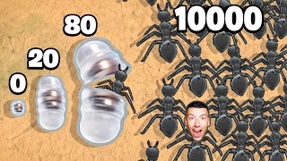 Améliorer une Fourmi au Niveau MAXIMUM dans Ant Kingdom !