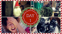 Zoella Vlogmas 2014 Youtube
