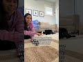 The fastest way to tire your dog out at home #dogtraining