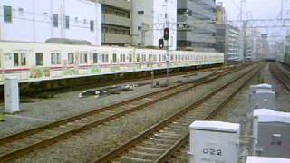 京王 Tama zoo train コアラ号(送り込み回送)
