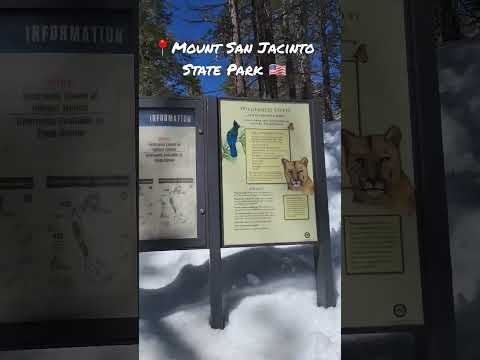 Mount San Jacinto State Park #travel #travelvideo #riverside #california #shorts #usa #adventure