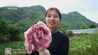 《谁知盘中餐》 20250603 意想不到的好食材 | 农业致富经 Agriculture And Farming