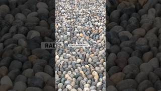 Ciottoli di fiume a pavimento