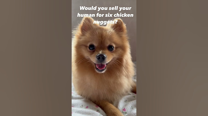 Free food #youtube #subscribe #love #youtuber #food  #dogs #california #shortsadoptme #shortsclip