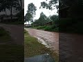 chuva na tarde de domingo