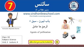 Agents of pollination | Science Class 7 | Chapter 3 | Lecture 4| Sindh Online School
