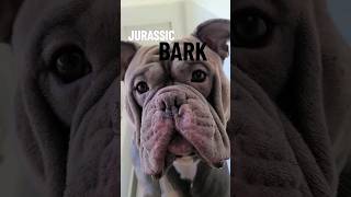 New Jurassic Park Trailer 2023 #dogs #dog #americanbully