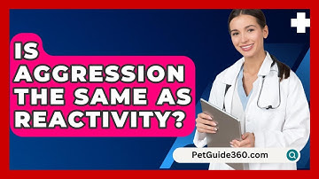 Is Aggression The Same As Reactivity? - PetGuide360.com