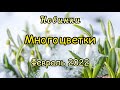 Многоцветные новинки ФЕВРАЛЯ // Music // Вышивка крестом // Многоцветки