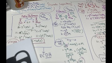Discrete Logarithms (Key Exchange, Encryption and Digital Signatures)
