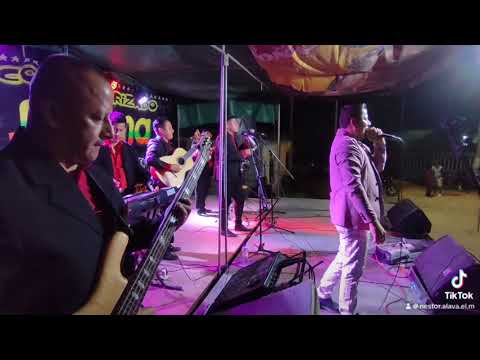 Nestor Alava - Medio Corazón (En Vivo) Ecuador