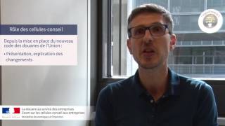 Douane Zoom Sur Les Cellules-Conseil Aux Entreprises