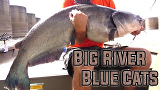 53 LB Blue Catfish Smacks Huge Carp Head