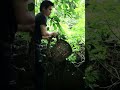 Easy Ways to Survive in Forest  #lifehack #dailylife #lifehacks #simpleliving #smartliving #forest