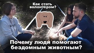 Интервью с волонтерами приюта для животных "Валента" Интервью с волонтерами приюта для животных "Валента"