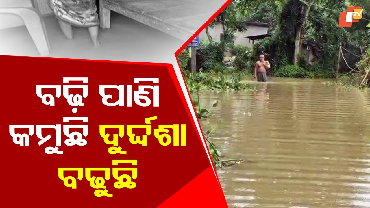 Severe Flood Wreaks Havoc in Northern Odisha, Crops Destroyed, Homes Submerged