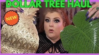 DOLLAR TREE HAUL WITH NEW ITEMS | May 13, 2024