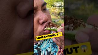 Ant Snacks
