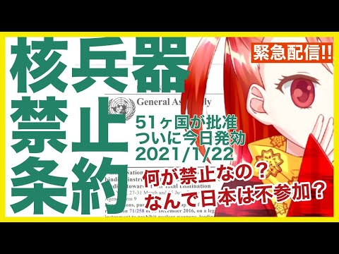 核 禁止 条約 不参加 なぜ 核 禁止 条約 不参加 なぜ