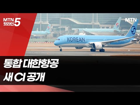 새 <strong>CI</strong> 입은 대한항공 여객기 운항 개시…메가캐리어 &amp;#39;스타트&amp;#39; / 머니투데이방송 (뉴스)