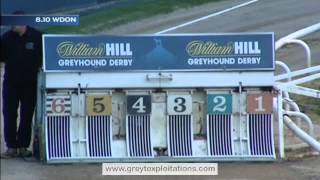 Romeo In Milan - shown no mercy at Wimbledon Greyhound Stadium