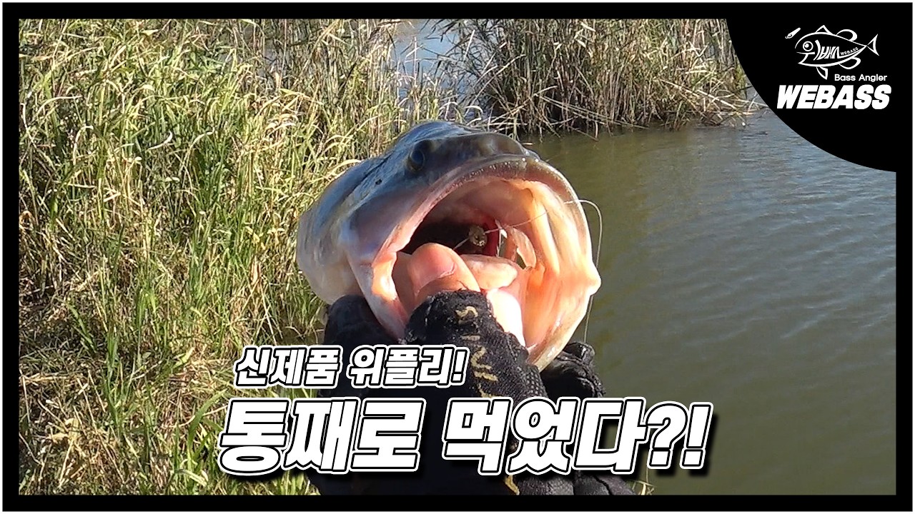[배스낚시] 새 무기가 생겼으니 또 달려봅시다 Ep.266