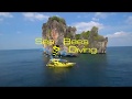 Sea bees diving phuket