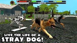 🐕👍Stray Dog Simulator-Симулятор бродячих Cобак- By Gluten Free games-IOS/Android screenshot 3