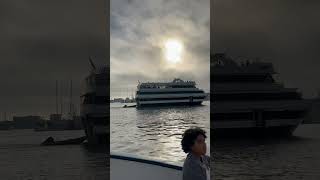 Cruise ship in Marina Del Ray, California #losangeles #food #california #cruise