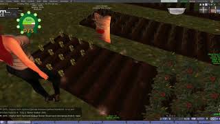 DFS Field Tutorial