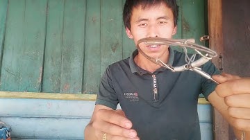 qhia muab ntxiab hlau cuab qaib qus mag zoo heev 100%