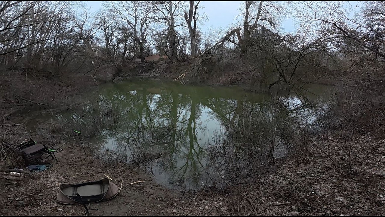 VADREGÉNYES HORGÁSZHELY - Gébek - Feeder horgászat a Tiszán.