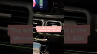 2020 Mercedes-Benz Gls 450 Ambient Lighting