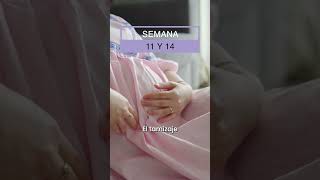 Aunque te sientas bien durante tu #embarazo, debes hacerte este estudio.